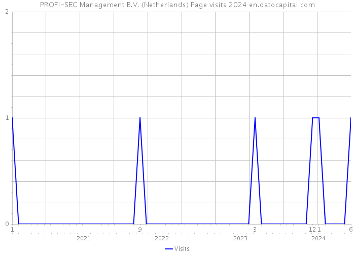 PROFI-SEC Management B.V. (Netherlands) Page visits 2024 