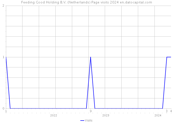 Feeding Good Holding B.V. (Netherlands) Page visits 2024 