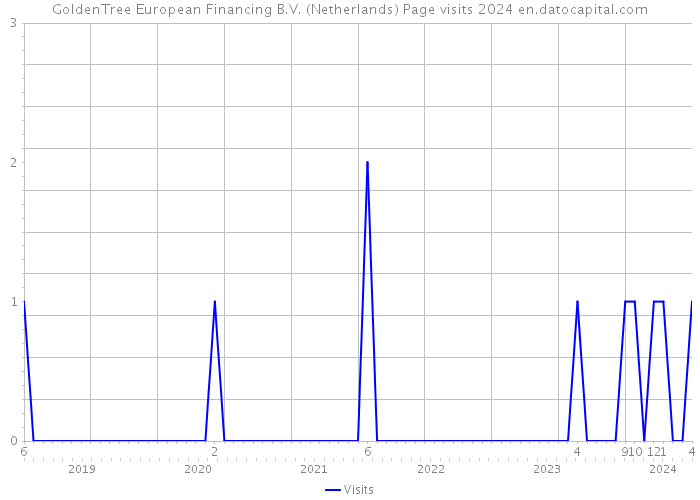 GoldenTree European Financing B.V. (Netherlands) Page visits 2024 
