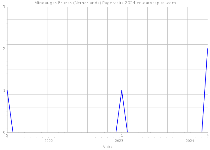 Mindaugas Bruzas (Netherlands) Page visits 2024 