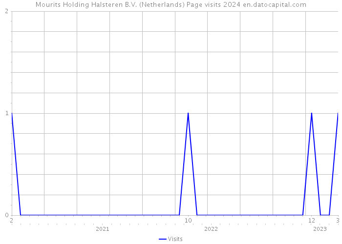 Mourits Holding Halsteren B.V. (Netherlands) Page visits 2024 