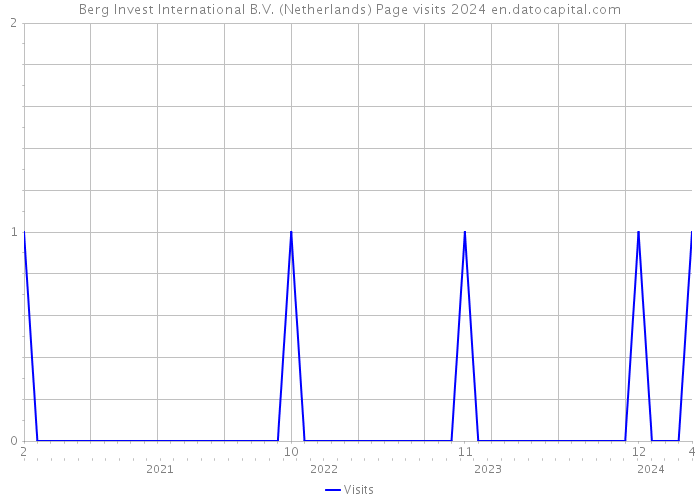 Berg Invest International B.V. (Netherlands) Page visits 2024 
