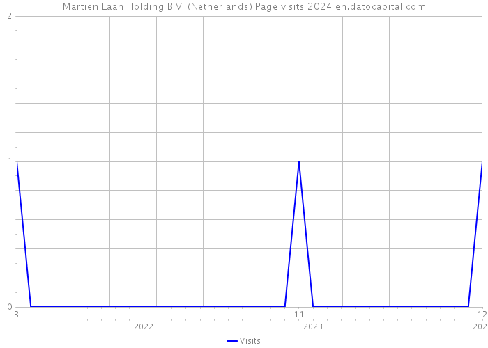 Martien Laan Holding B.V. (Netherlands) Page visits 2024 