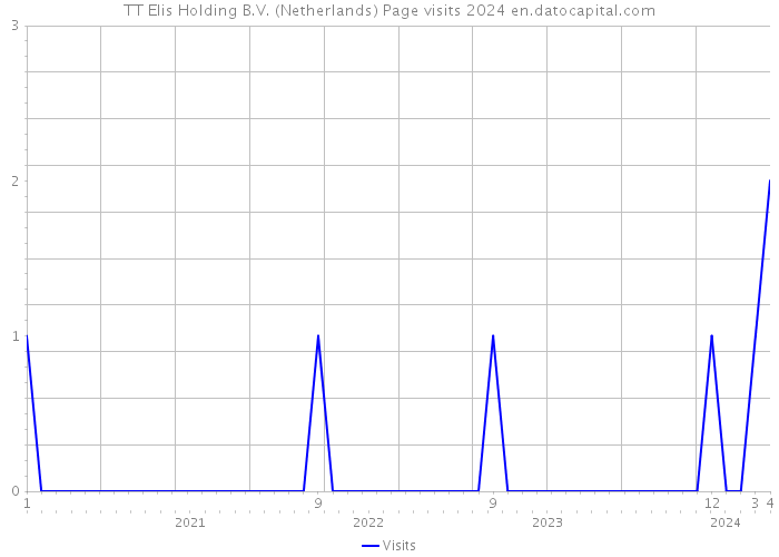 TT Elis Holding B.V. (Netherlands) Page visits 2024 