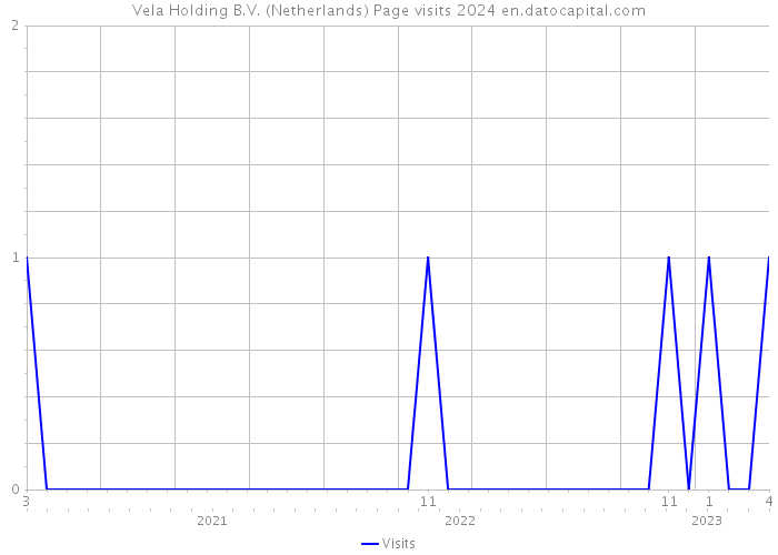 Vela Holding B.V. (Netherlands) Page visits 2024 