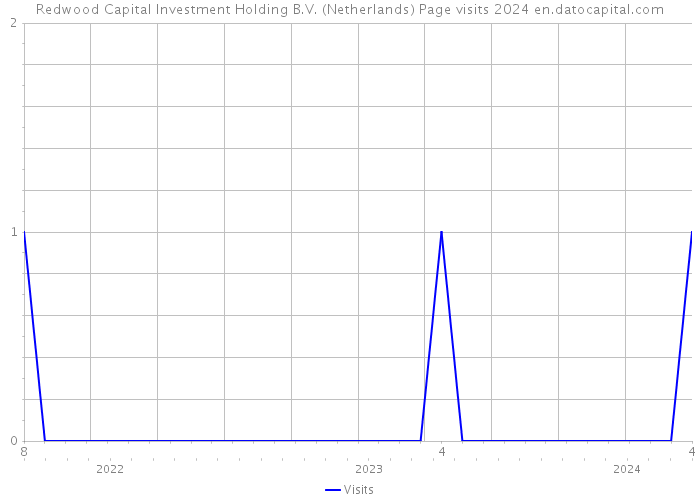 Redwood Capital Investment Holding B.V. (Netherlands) Page visits 2024 