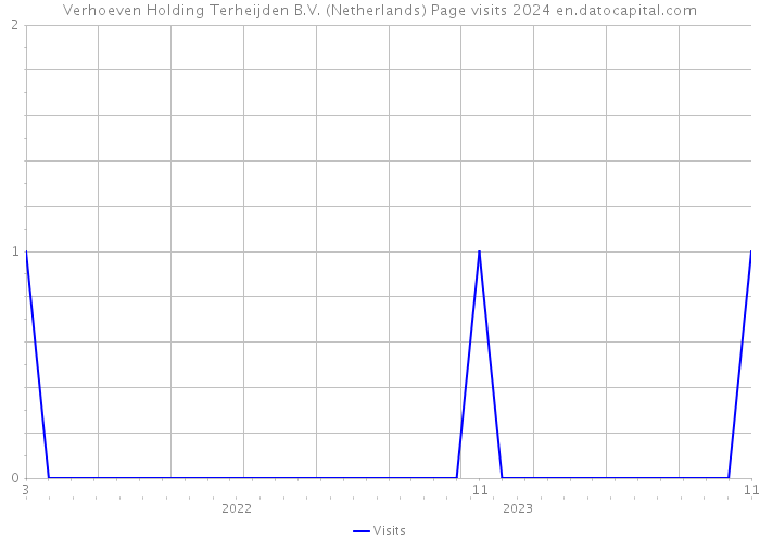 Verhoeven Holding Terheijden B.V. (Netherlands) Page visits 2024 