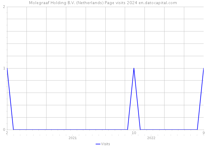 Molegraaf Holding B.V. (Netherlands) Page visits 2024 