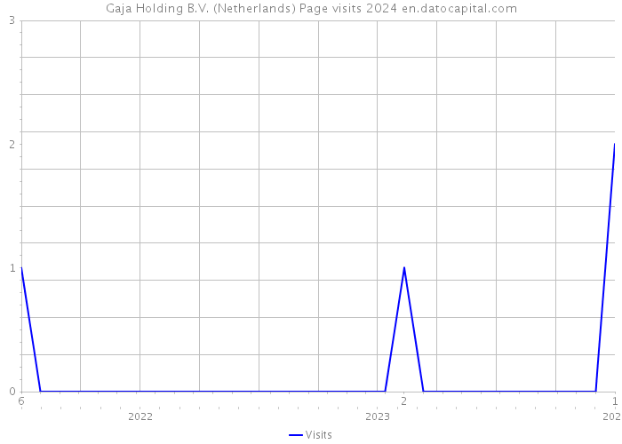 Gaja Holding B.V. (Netherlands) Page visits 2024 