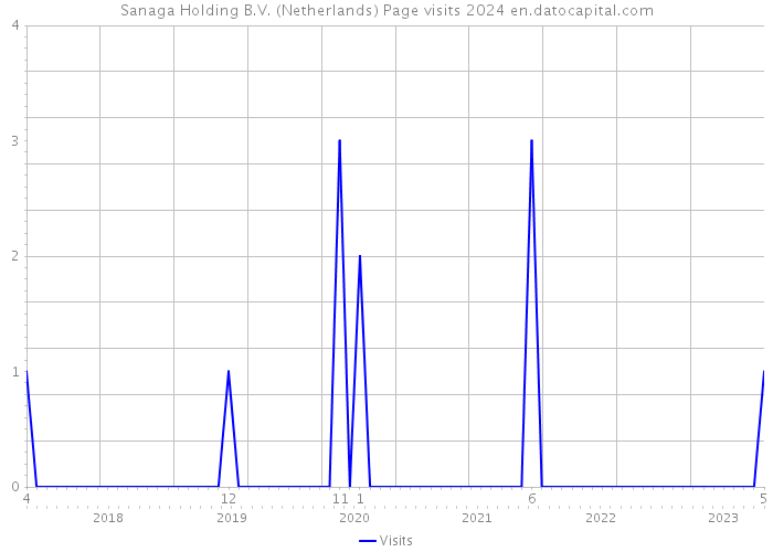 Sanaga Holding B.V. (Netherlands) Page visits 2024 