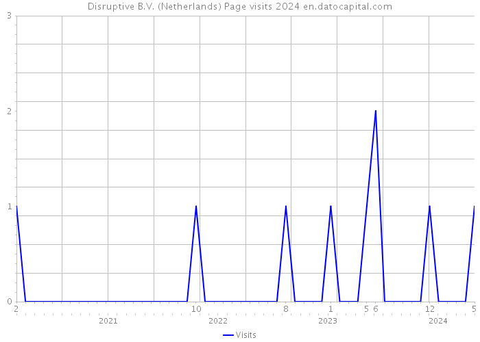 Disruptive B.V. (Netherlands) Page visits 2024 