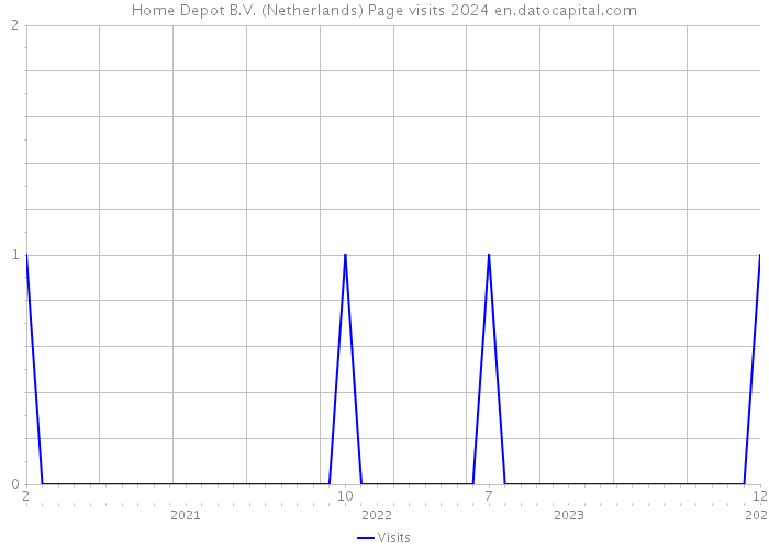 Home Depot B.V. (Netherlands) Page visits 2024 