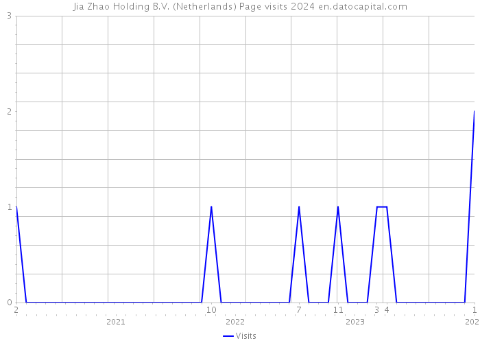 Jia Zhao Holding B.V. (Netherlands) Page visits 2024 