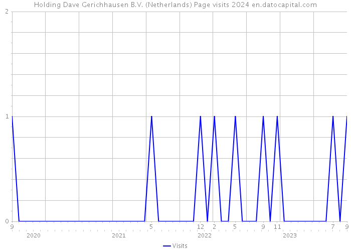 Holding Dave Gerichhausen B.V. (Netherlands) Page visits 2024 