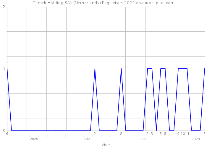 Tamek Holding B.V. (Netherlands) Page visits 2024 