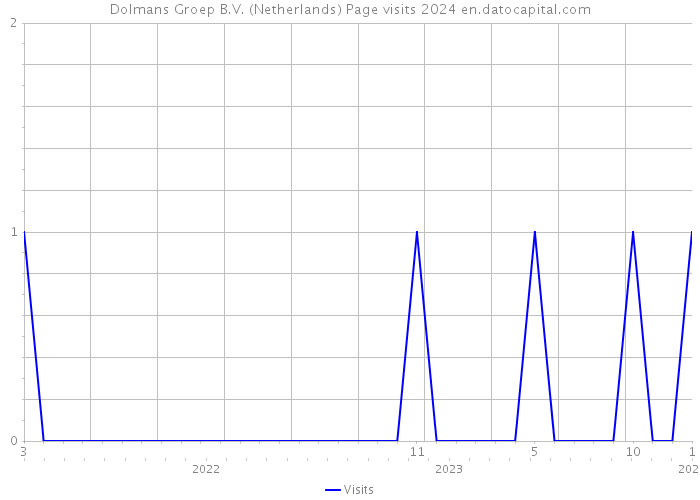 Dolmans Groep B.V. (Netherlands) Page visits 2024 