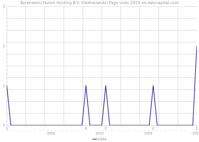 Eerenstein/Hullen Holding B.V. (Netherlands) Page visits 2024 