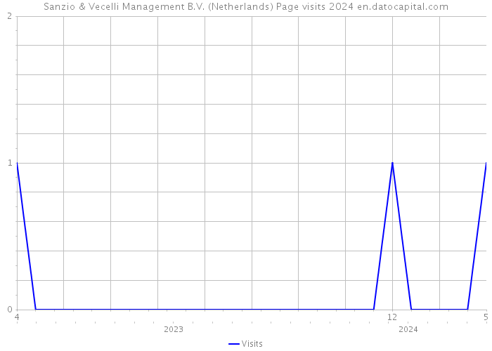 Sanzio & Vecelli Management B.V. (Netherlands) Page visits 2024 