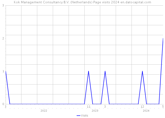 Kok Management Consultancy B.V. (Netherlands) Page visits 2024 