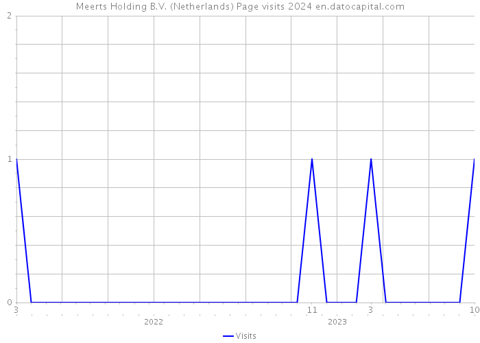 Meerts Holding B.V. (Netherlands) Page visits 2024 
