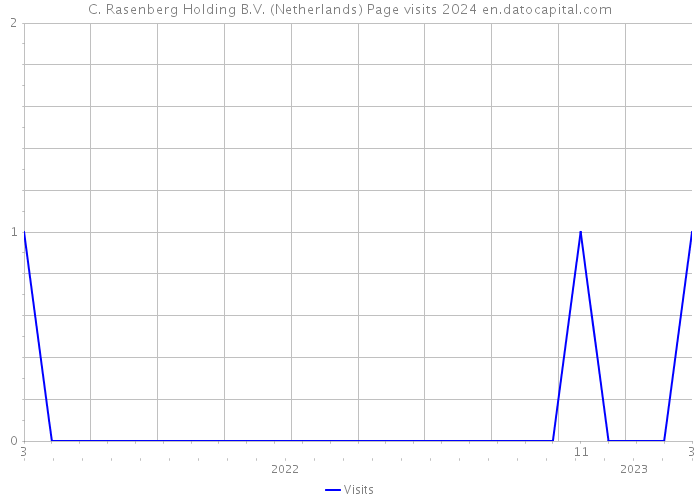 C. Rasenberg Holding B.V. (Netherlands) Page visits 2024 