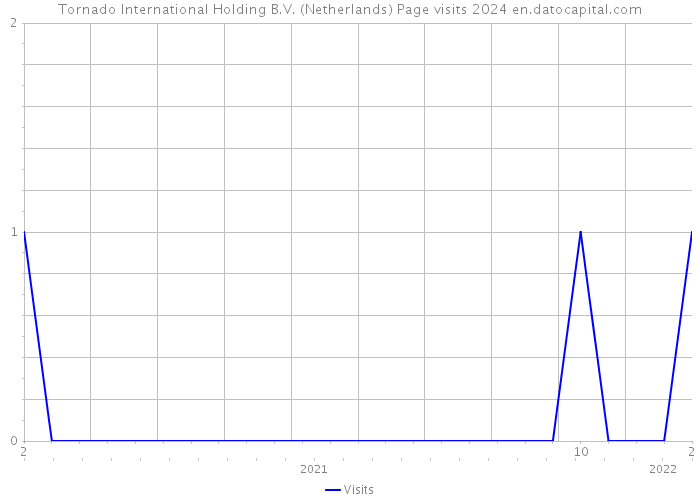 Tornado International Holding B.V. (Netherlands) Page visits 2024 
