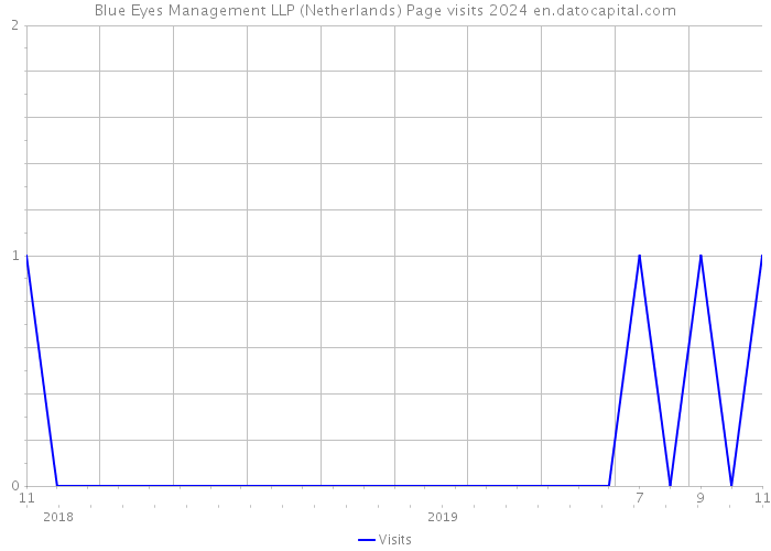 Blue Eyes Management LLP (Netherlands) Page visits 2024 