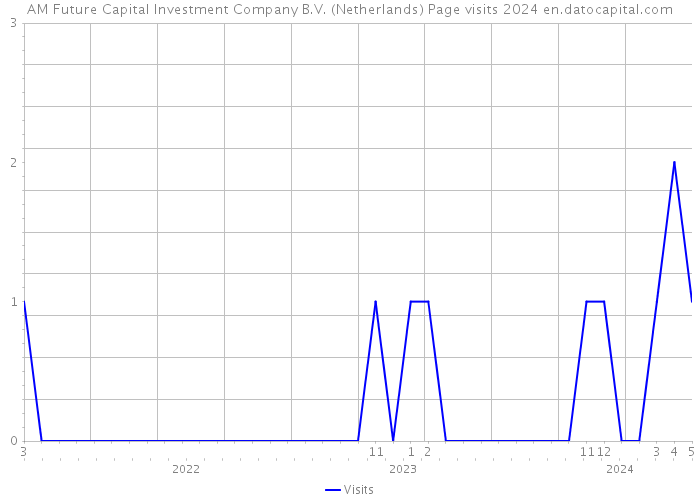 AM Future Capital Investment Company B.V. (Netherlands) Page visits 2024 