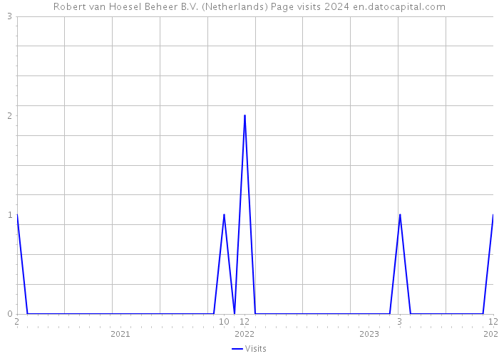 Robert van Hoesel Beheer B.V. (Netherlands) Page visits 2024 