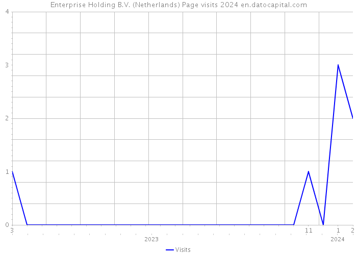 Enterprise Holding B.V. (Netherlands) Page visits 2024 