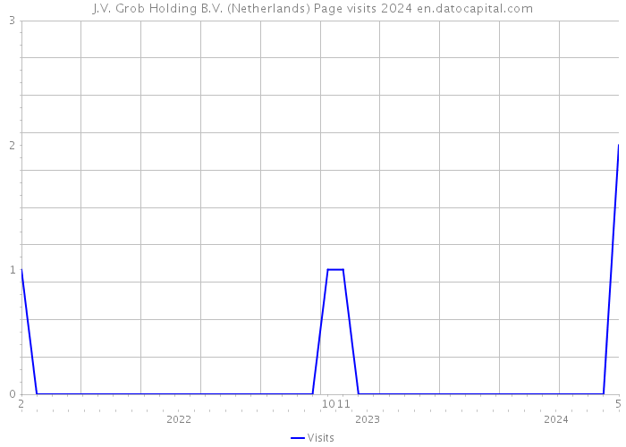 J.V. Grob Holding B.V. (Netherlands) Page visits 2024 
