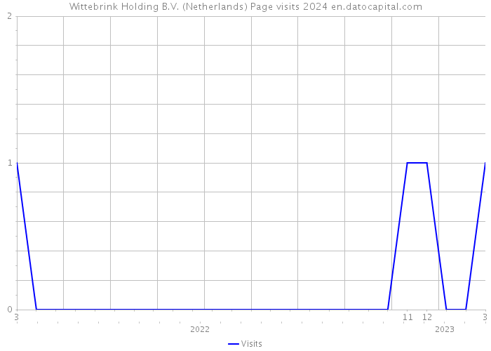 Wittebrink Holding B.V. (Netherlands) Page visits 2024 