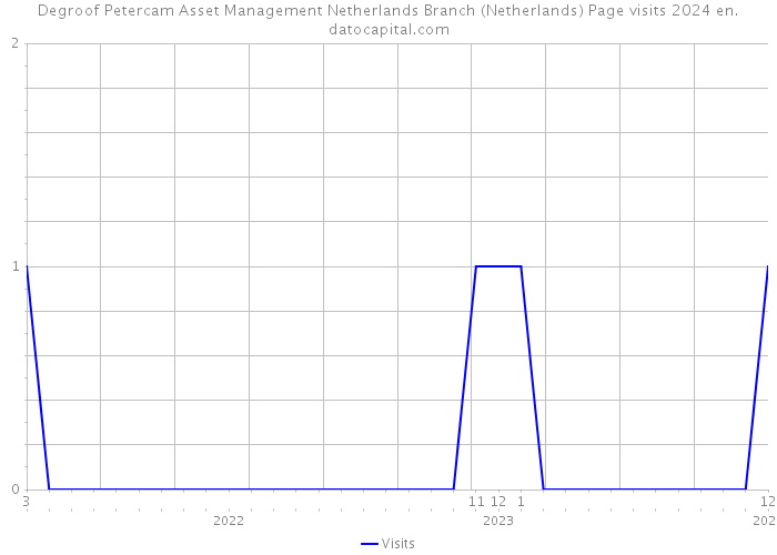 Degroof Petercam Asset Management Netherlands Branch (Netherlands) Page visits 2024 