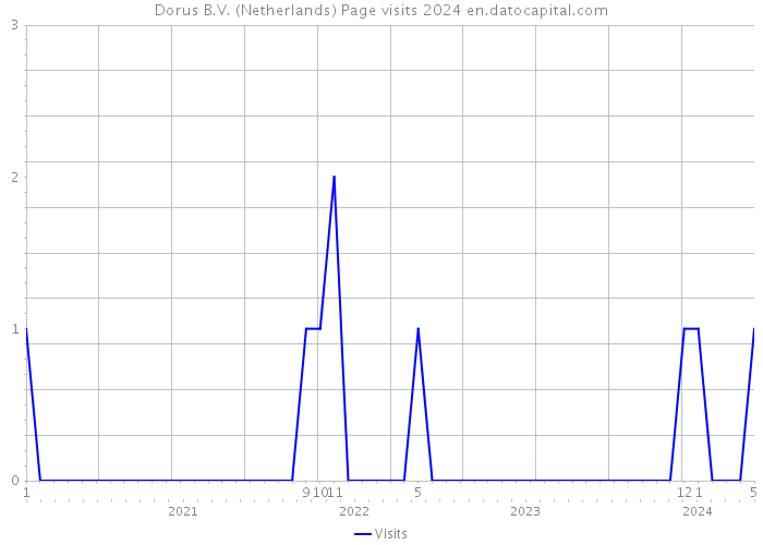 Dorus B.V. (Netherlands) Page visits 2024 