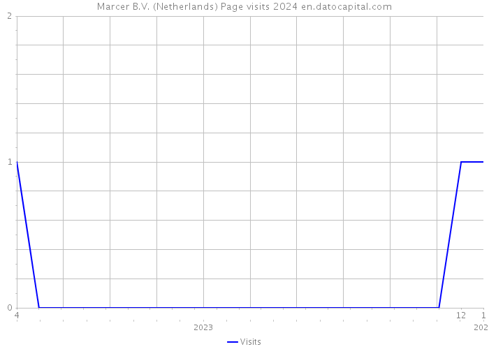 Marcer B.V. (Netherlands) Page visits 2024 