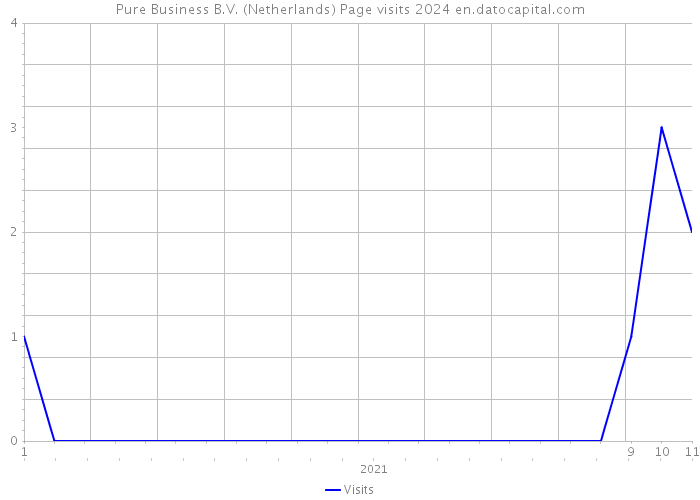 Pure Business B.V. (Netherlands) Page visits 2024 