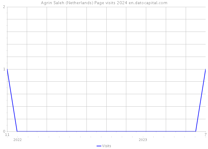 Agrin Saleh (Netherlands) Page visits 2024 