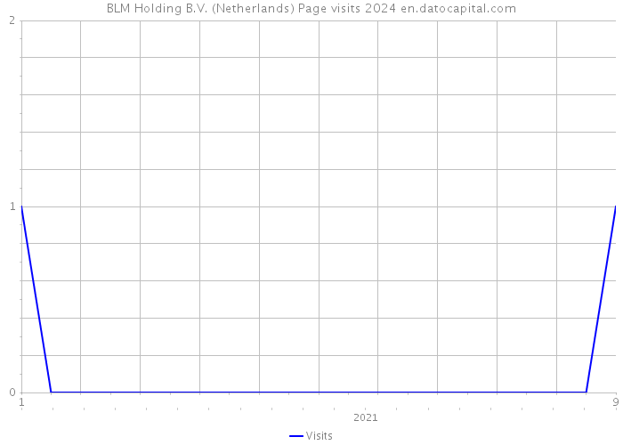 BLM Holding B.V. (Netherlands) Page visits 2024 
