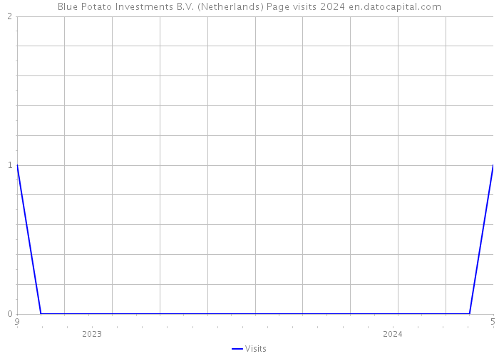 Blue Potato Investments B.V. (Netherlands) Page visits 2024 