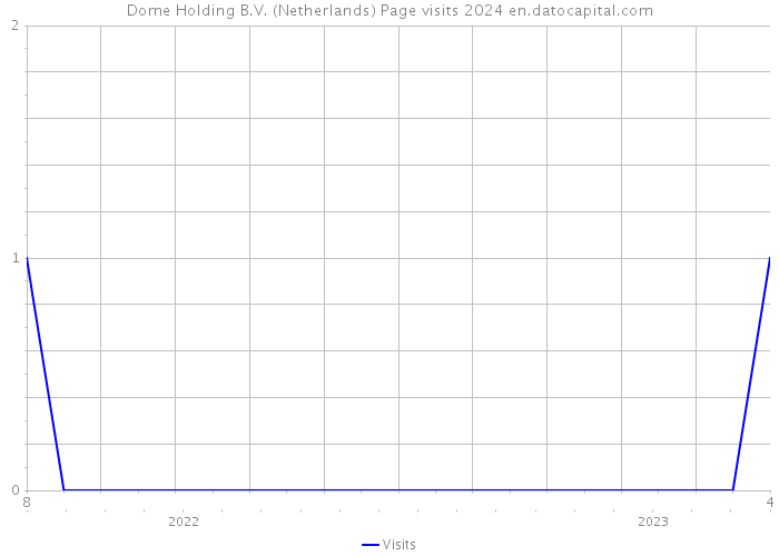 Dome Holding B.V. (Netherlands) Page visits 2024 