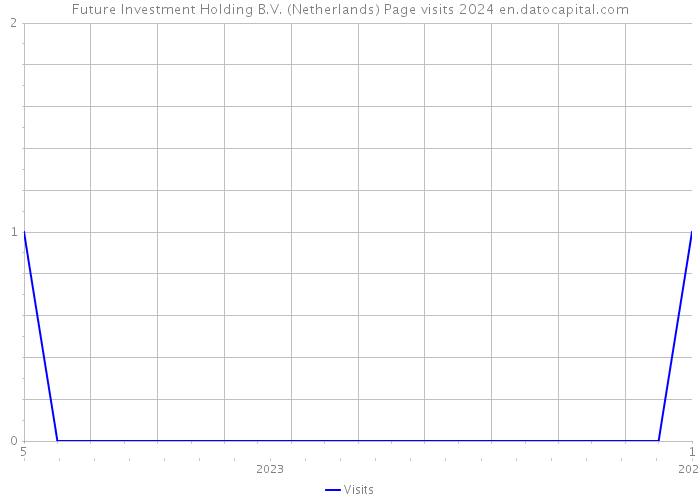 Future Investment Holding B.V. (Netherlands) Page visits 2024 
