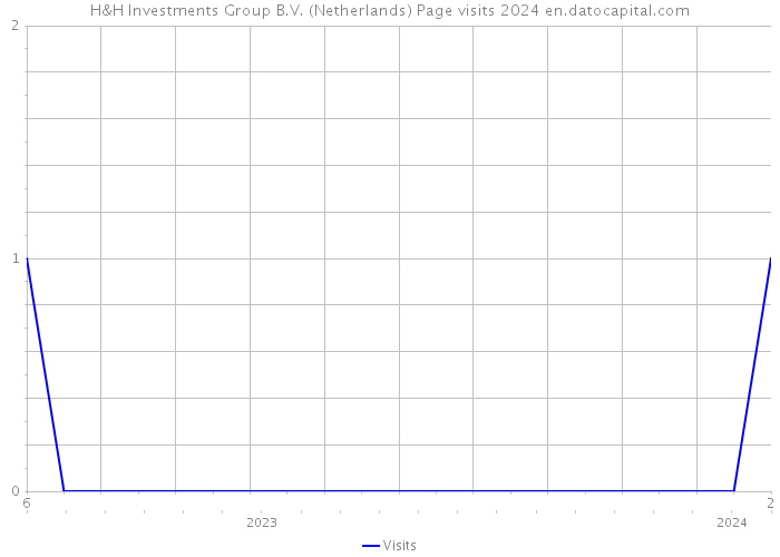 H&H Investments Group B.V. (Netherlands) Page visits 2024 