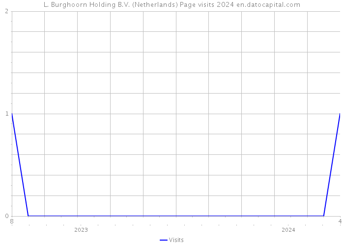 L. Burghoorn Holding B.V. (Netherlands) Page visits 2024 