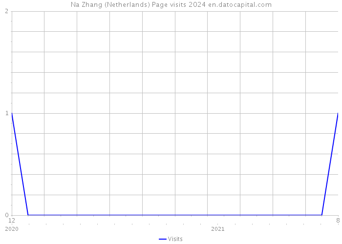 Na Zhang (Netherlands) Page visits 2024 