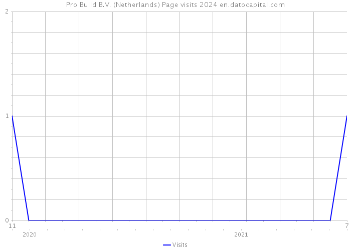 Pro Build B.V. (Netherlands) Page visits 2024 