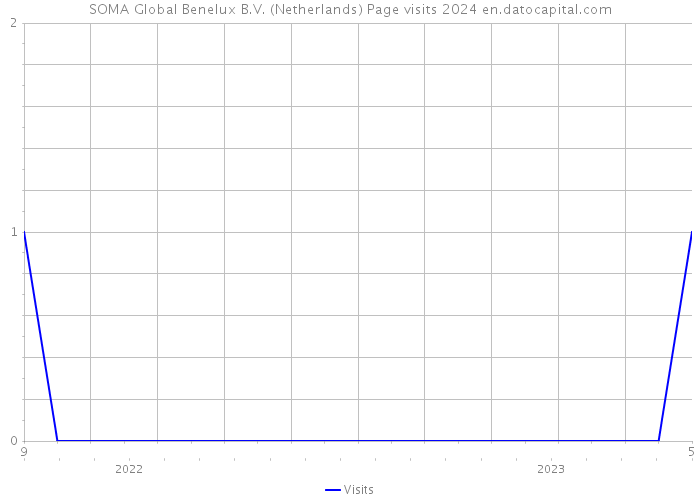 SOMA Global Benelux B.V. (Netherlands) Page visits 2024 