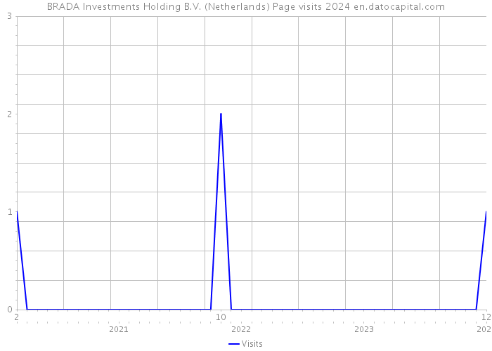 BRADA Investments Holding B.V. (Netherlands) Page visits 2024 