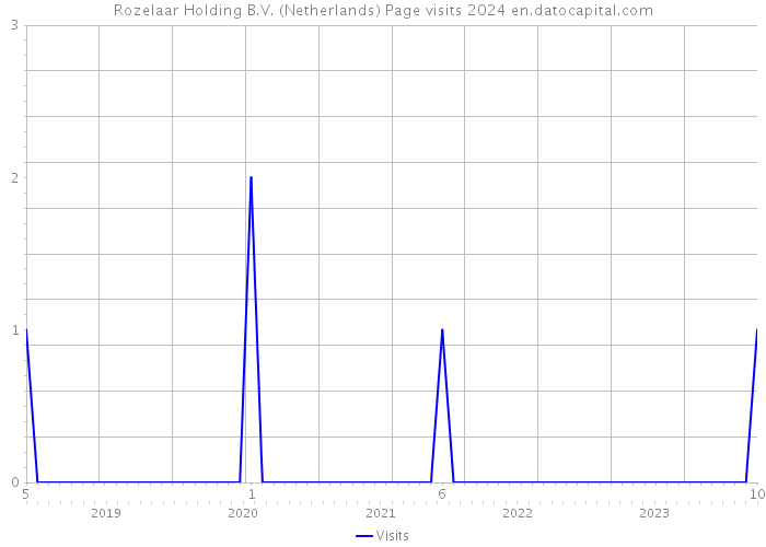 Rozelaar Holding B.V. (Netherlands) Page visits 2024 