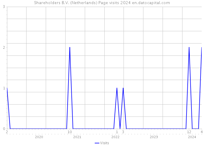 Shareholders B.V. (Netherlands) Page visits 2024 