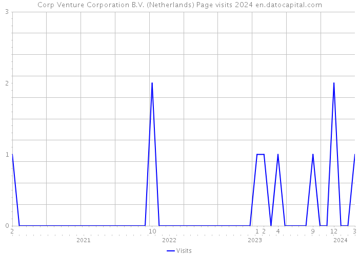 Corp Venture Corporation B.V. (Netherlands) Page visits 2024 